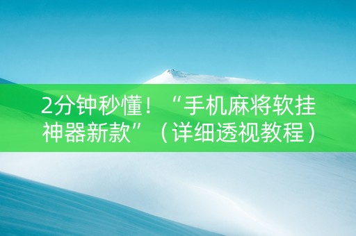 2分钟秒懂！“手机麻将软挂神器新款”（详细透视教程）-哔哩哔哩