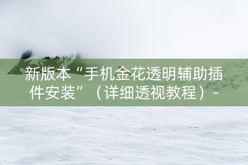 新版本“手机金花透明辅助插件安装”（详细透视教程）-哔哩哔哩