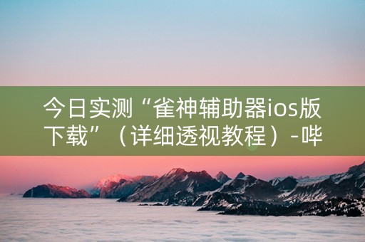 今日实测“雀神辅助器ios版下载”（详细透视教程）-哔哩哔哩