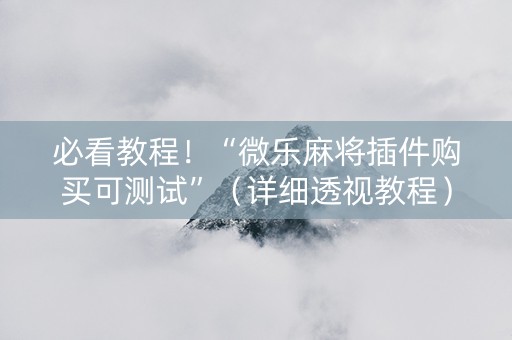 必看教程！“微乐麻将插件购买可测试”（详细透视教程）-哔哩哔哩