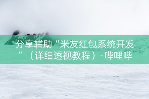 分享辅助“米友红包系统开发”（详细透视教程）-哔哩哔哩