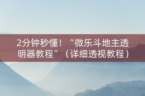 2分钟秒懂！“微乐斗地主透明器教程”（详细透视教程）-哔哩哔哩