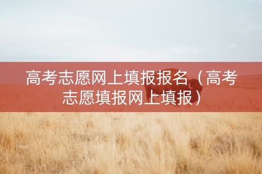 高考志愿网上填报报名（高考志愿填报网上填报）