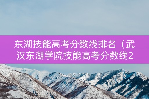 东湖技能高考分数线排名（武汉东湖学院技能高考分数线2020）