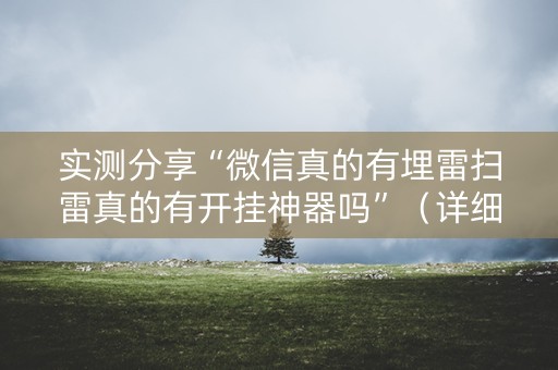 实测分享“微信真的有埋雷扫雷真的有开挂神器吗”（详细透视教程）-哔哩哔哩