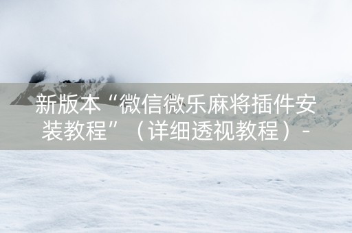 新版本“微信微乐麻将插件安装教程”（详细透视教程）-哔哩哔哩
