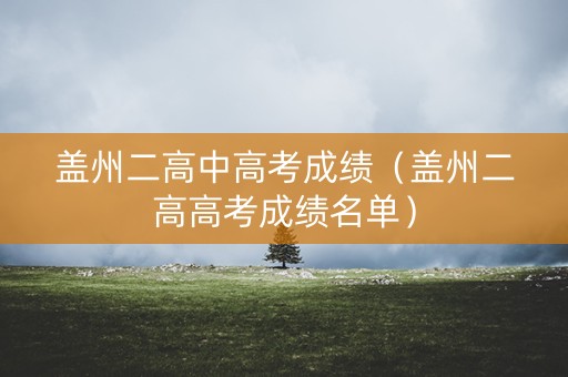 盖州二高中高考成绩（盖州二高高考成绩名单）