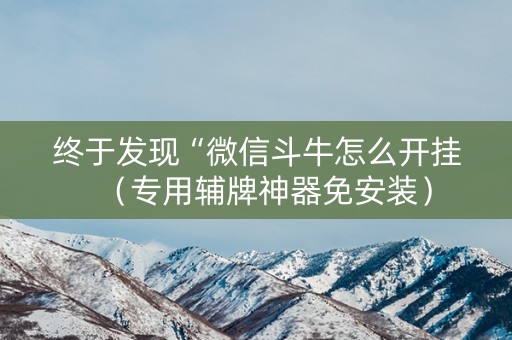 终于发现“微信斗牛怎么开挂（专用辅牌神器免安装）