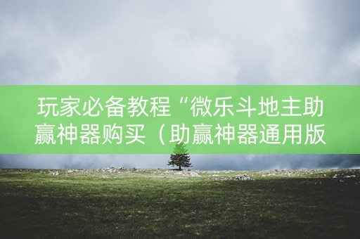 玩家必备教程“微乐斗地主助赢神器购买（助赢神器通用版）