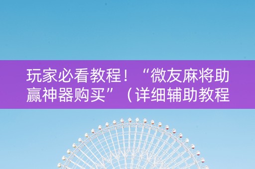 玩家必看教程！“微友麻将助赢神器购买”（详细辅助教程）-哔哩哔哩