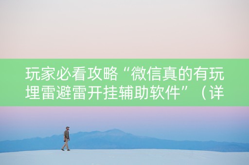 玩家必看攻略“微信真的有玩埋雷避雷开挂辅助软件”（详细透视教程）-哔哩哔哩