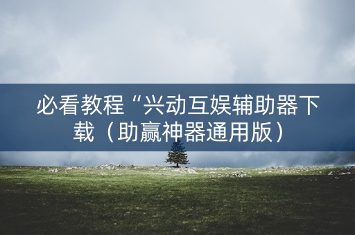 必看教程“兴动互娱辅助器下载（助赢神器通用版）