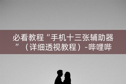 必看教程“手机十三张辅助器”（详细透视教程）-哔哩哔哩