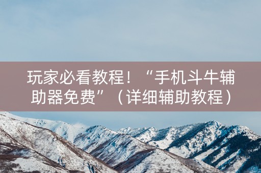玩家必看教程！“手机斗牛辅助器免费”（详细辅助教程）-哔哩哔哩