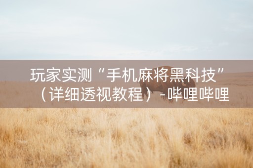 玩家实测“手机麻将黑科技”（详细透视教程）-哔哩哔哩