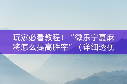 玩家必看教程！“微乐宁夏麻将怎么提高胜率”（详细透视教程）-哔哩哔哩