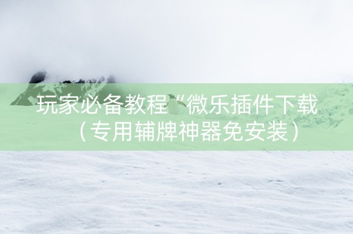 玩家必备教程“微乐插件下载（专用辅牌神器免安装）