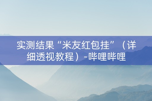 实测结果“米友红包挂”（详细透视教程）-哔哩哔哩