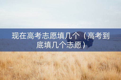 现在高考志愿填几个（高考到底填几个志愿）
