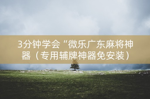 3分钟学会“微乐广东麻将神器（专用辅牌神器免安装）