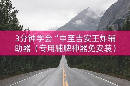 3分钟学会“中至吉安王炸辅助器（专用辅牌神器免安装）