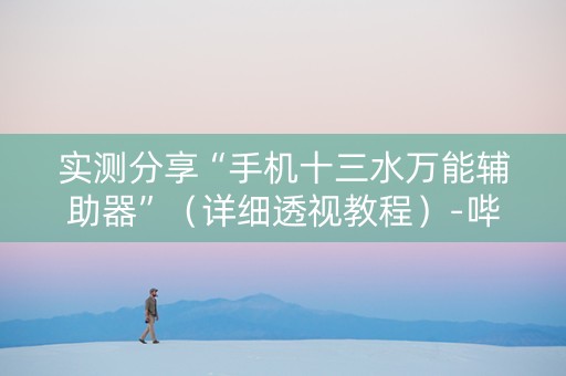 实测分享“手机十三水万能辅助器”（详细透视教程）-哔哩哔哩