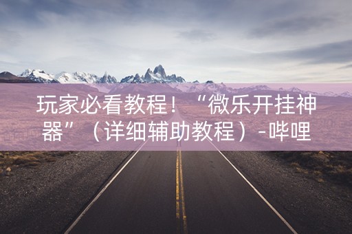 玩家必看教程！“微乐开挂神器”（详细辅助教程）-哔哩哔哩