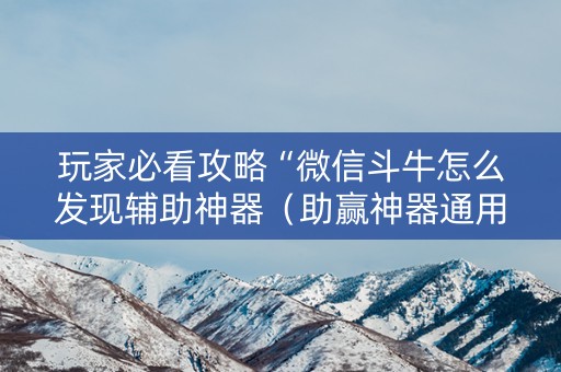 玩家必看攻略“微信斗牛怎么发现辅助神器（助赢神器通用版）