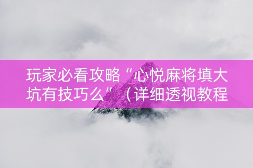 玩家必看攻略“心悦麻将填大坑有技巧么”（详细透视教程）-哔哩哔哩