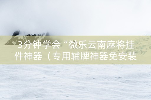 3分钟学会“微乐云南麻将挂件神器（专用辅牌神器免安装）
