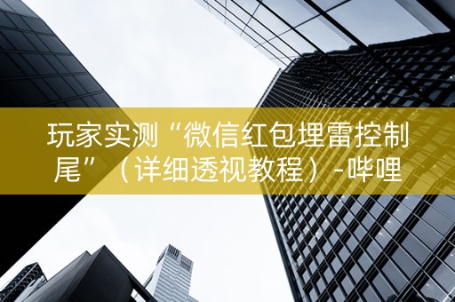 玩家实测“微信红包埋雷控制尾”（详细透视教程）-哔哩哔哩