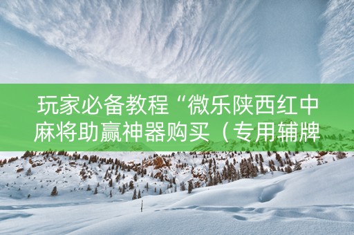 玩家必备教程“微乐陕西红中麻将助赢神器购买（专用辅牌神器免安装）