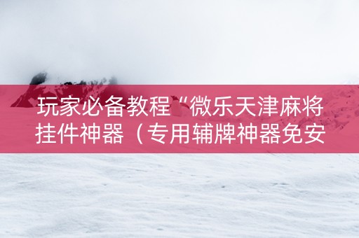 玩家必备教程“微乐天津麻将挂件神器（专用辅牌神器免安装）