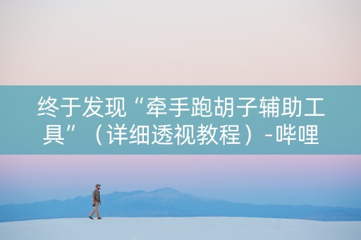 终于发现“牵手跑胡子辅助工具”（详细透视教程）-哔哩哔哩