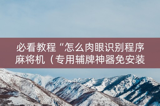 必看教程“怎么肉眼识别程序麻将机（专用辅牌神器免安装）