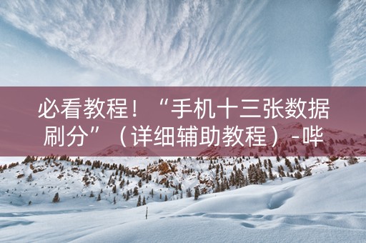 必看教程！“手机十三张数据刷分”（详细辅助教程）-哔哩哔哩
