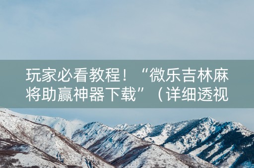 玩家必看教程！“微乐吉林麻将助赢神器下载”（详细透视教程）-哔哩哔哩