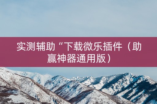 实测辅助“下载微乐插件（助赢神器通用版）