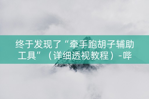 终于发现了“牵手跑胡子辅助工具”（详细透视教程）-哔哩哔哩