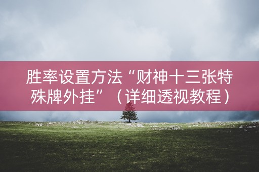 胜率设置方法“财神十三张特殊牌外挂”（详细透视教程）-哔哩哔哩
