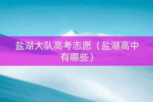 盐湖大队高考志愿（盐湖高中有哪些）