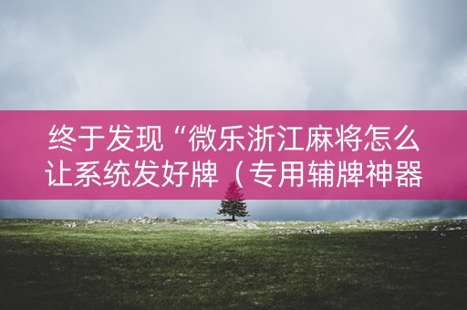 终于发现“微乐浙江麻将怎么让系统发好牌（专用辅牌神器免安装）