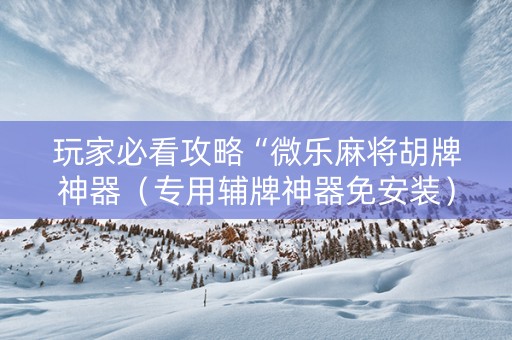 玩家必看攻略“微乐麻将胡牌神器（专用辅牌神器免安装）