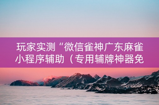 玩家实测“微信雀神广东麻雀小程序辅助（专用辅牌神器免安装）