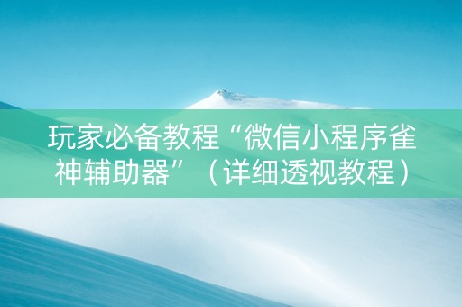 玩家必备教程“微信小程序雀神辅助器”（详细透视教程）-哔哩哔哩