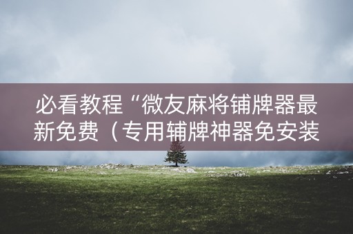 必看教程“微友麻将铺牌器最新免费（专用辅牌神器免安装）