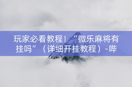 玩家必看教程！“微乐麻将有挂吗”（详细开挂教程）-哔哩哔哩