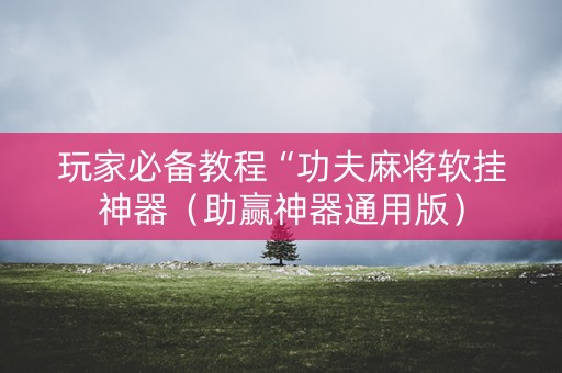 玩家必备教程“功夫麻将软挂神器（助赢神器通用版）