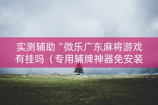 实测辅助“微乐广东麻将游戏有挂吗（专用辅牌神器免安装）