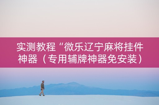 实测教程“微乐辽宁麻将挂件神器（专用辅牌神器免安装）